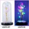 Preserved Rose in Glass Dome with LED Lights Elegant Gift Décor